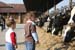 cowandchildren