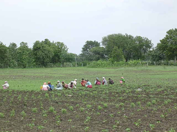 DSCN0250